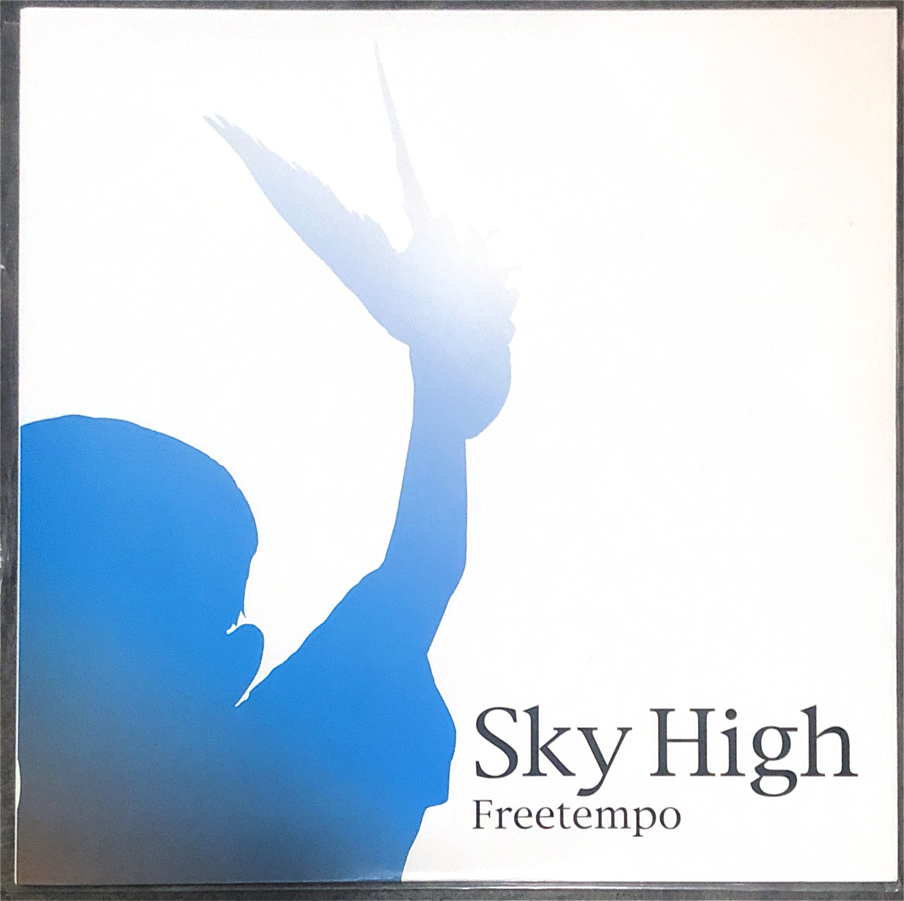 FreetempoFreeTEMPO / Sky High / 半沢武志 レコード - 邦楽