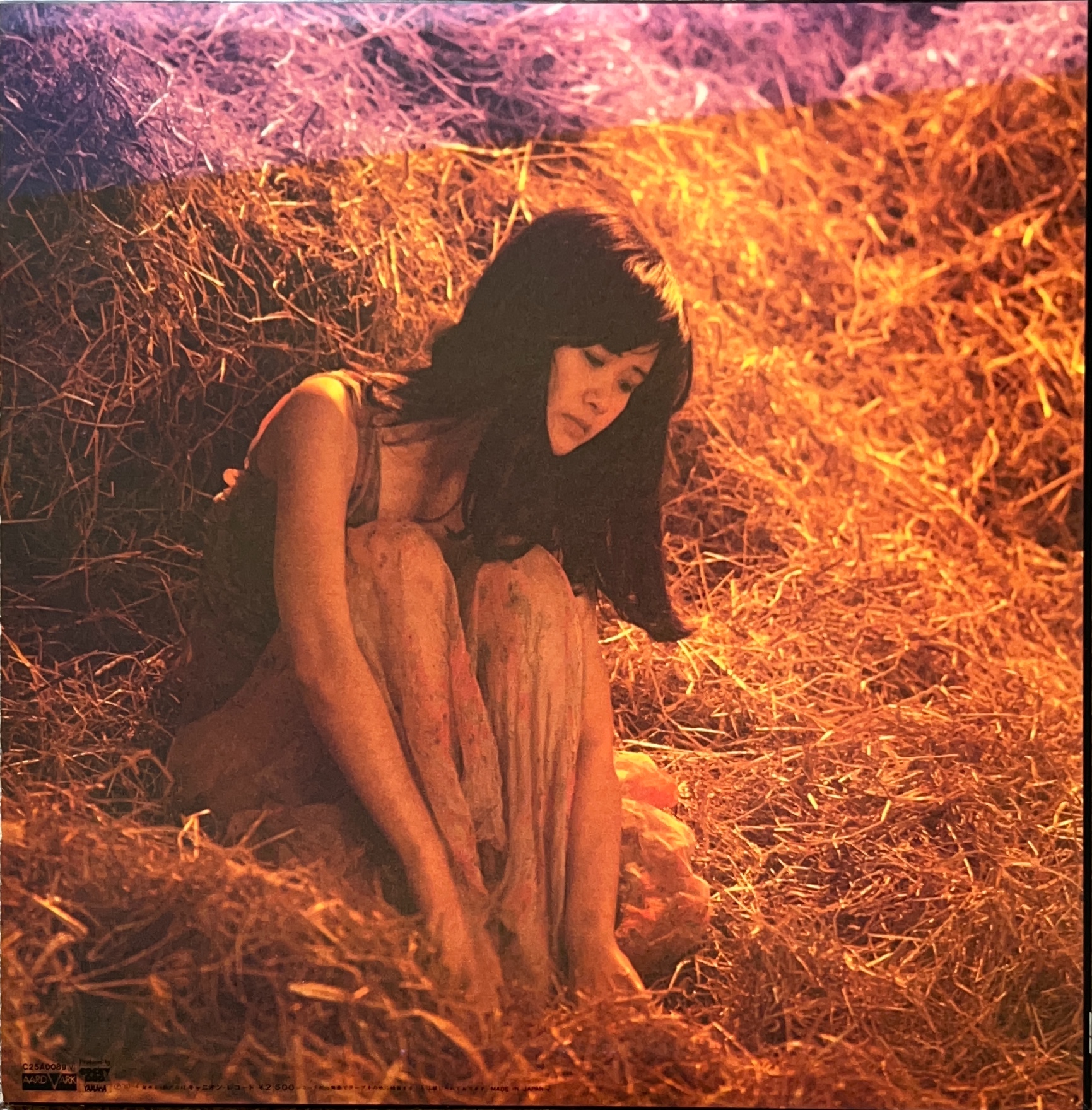 生きていてもいいですか [LP] - 中島みゆき - bar chiba Music Store