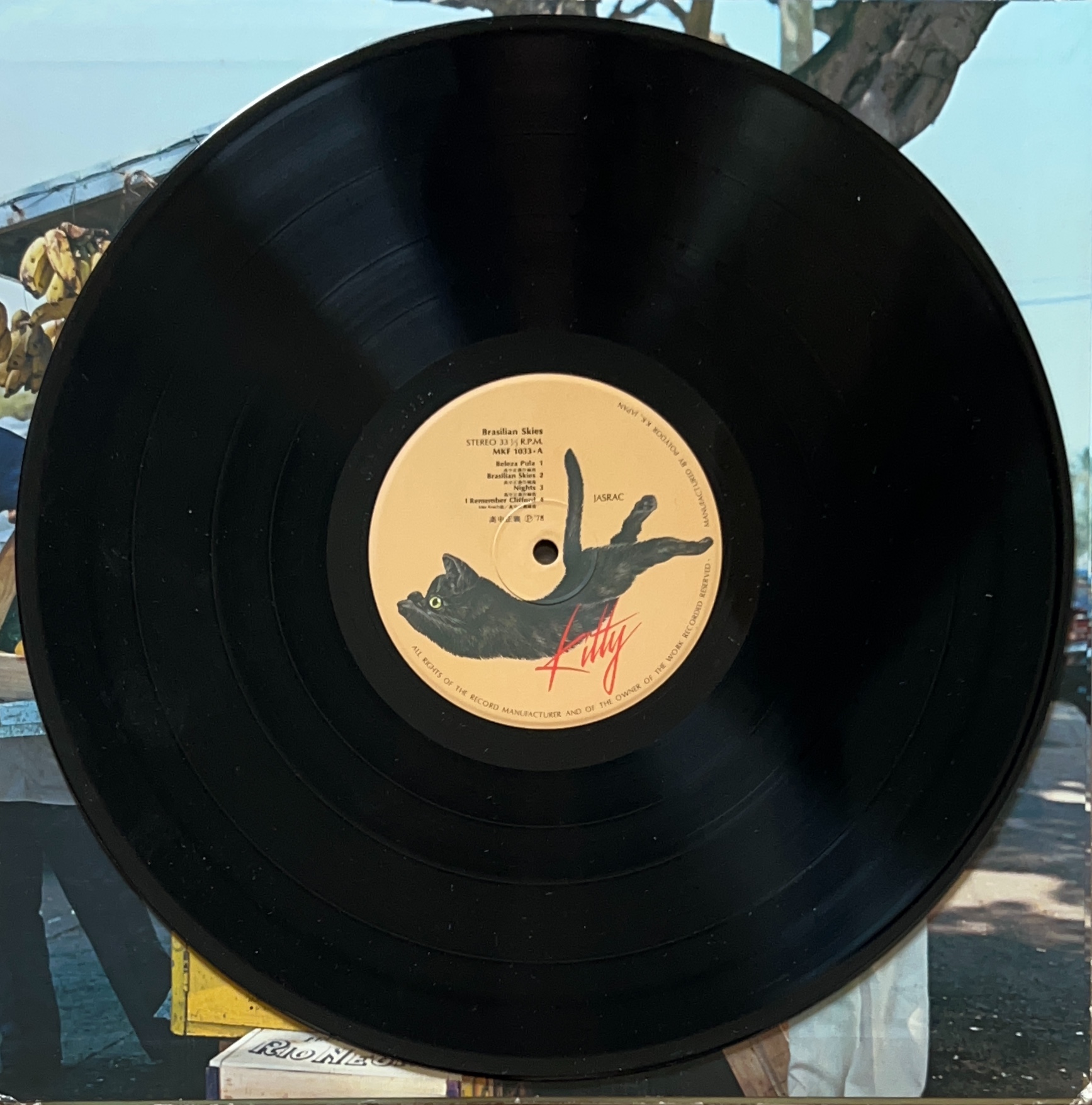 BRASILIAN SKIES / ブラジリアン・スカイズ [LP] - bar chiba Music Store