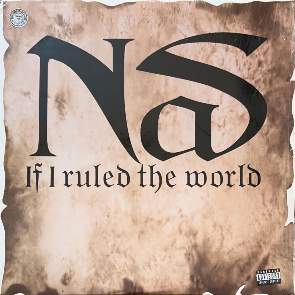 If I Ruled The World