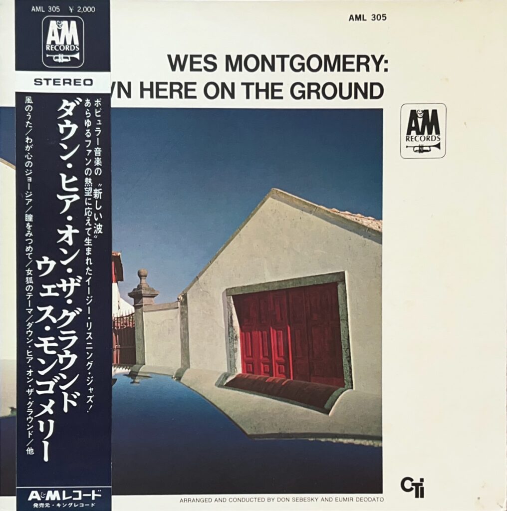 DOWN HERE ON THE GROUND