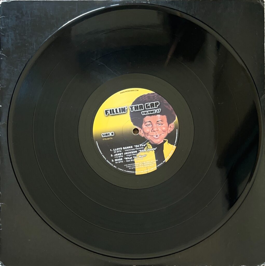 Fillin' Tha Gap Volume 17