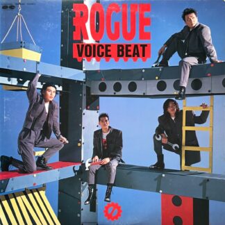 VOICE BEAT