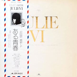 JULIE VI ある青春