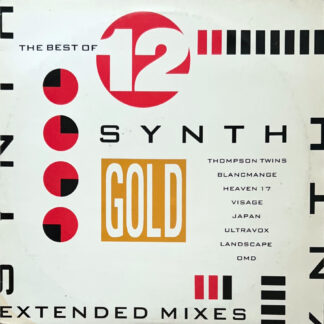 The Best of 12" Synth Gold