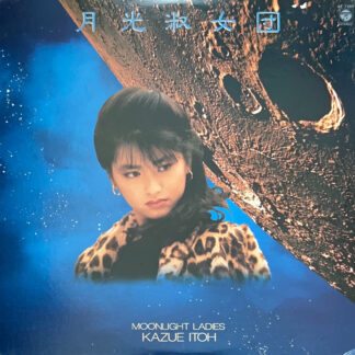 月光淑女団 / MOONLIGHT LADIES